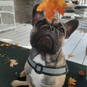 Meet your Posher, Sandra